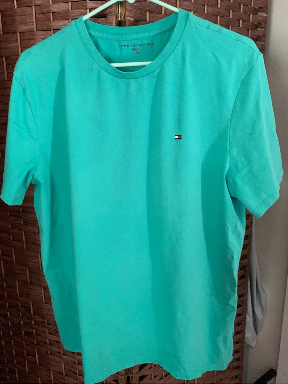 Tommy Hilfiger Men’s Crew Neck T-Shirt in Teal Green